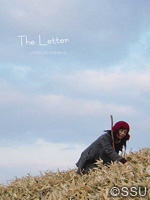 The Letter ポスター